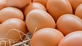 Egg Health Benefits: কোন ডিম বেশি ভাল Egg Health Benefits: কোন ডিম বেশি ভাল