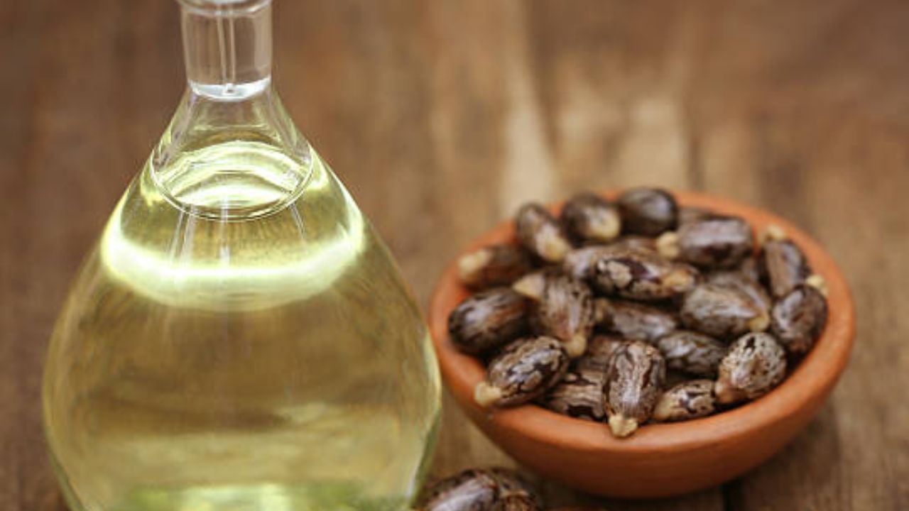 এতে গোড়া মজবুত হয় তার চোখের পাতাও বাড়ে। এমনিতেই ক্যাস্টর অয়েল হেয়ার গ্রোথে সাহায্য করে। 