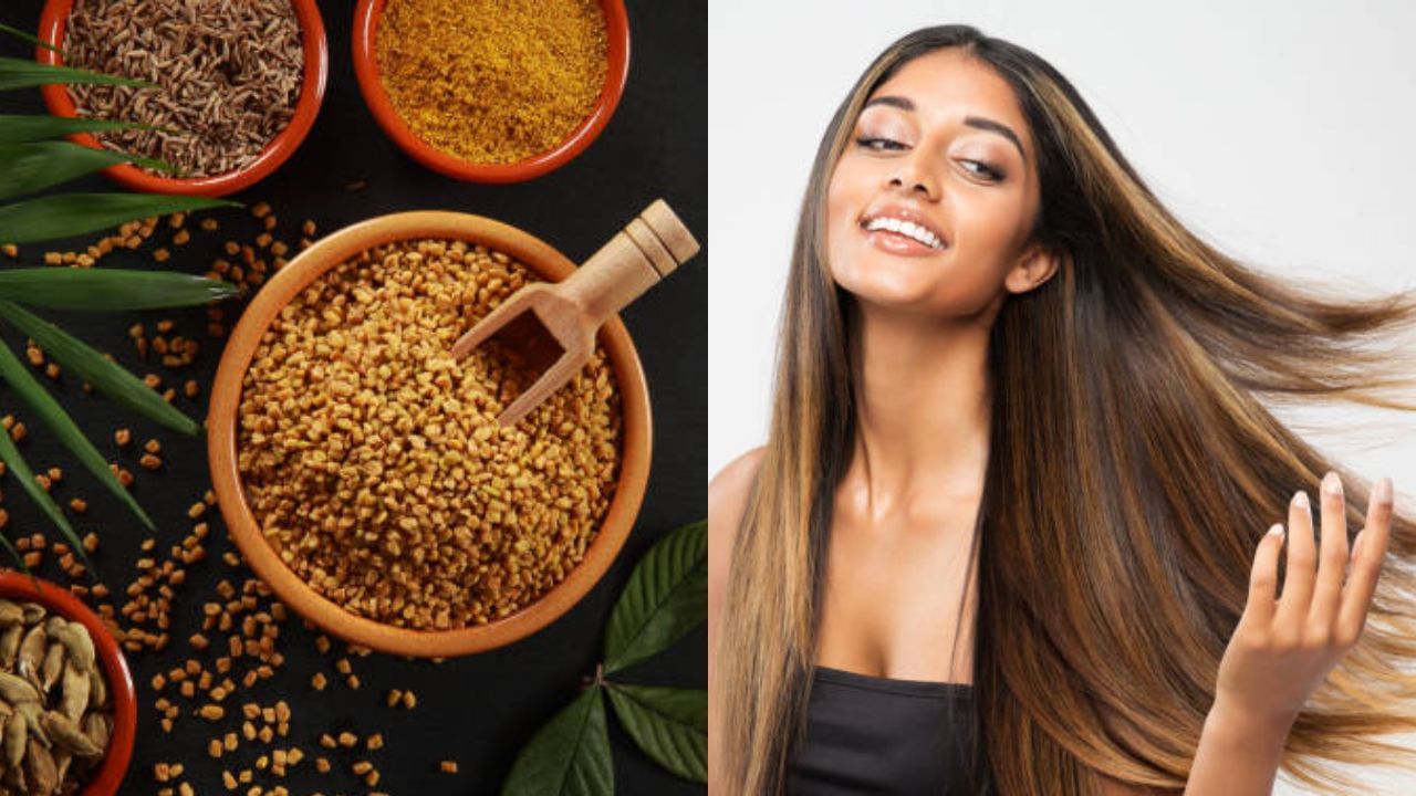 Fenugreek Seeds for Hair: পাকা চুল হোক বা খুশকি, এভাবে মেথির দানা ব্যবহার করলে টাকেও নতুন চুল গজাবে