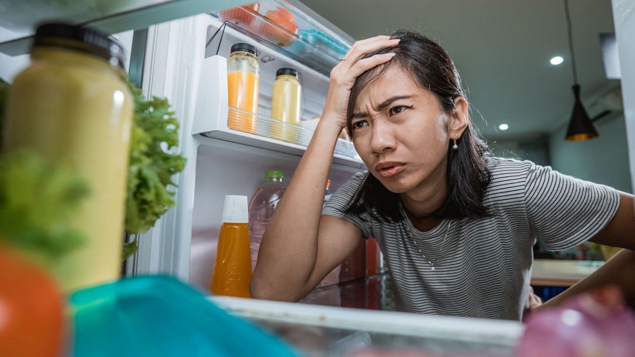 Fridge Care In Rain বর্ষাকালে বাড়ির ফ্রিজে এই সব কাজ ভুলেও করবেন না
