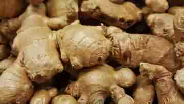 Ginger Price Hike: হঠাৎ আদার সঙ্গে ‘কাঁচকলার’ সম্পর্ক ক্রেতাদের, কেন দাম বাড়ছে চড়চড়িয়ে?