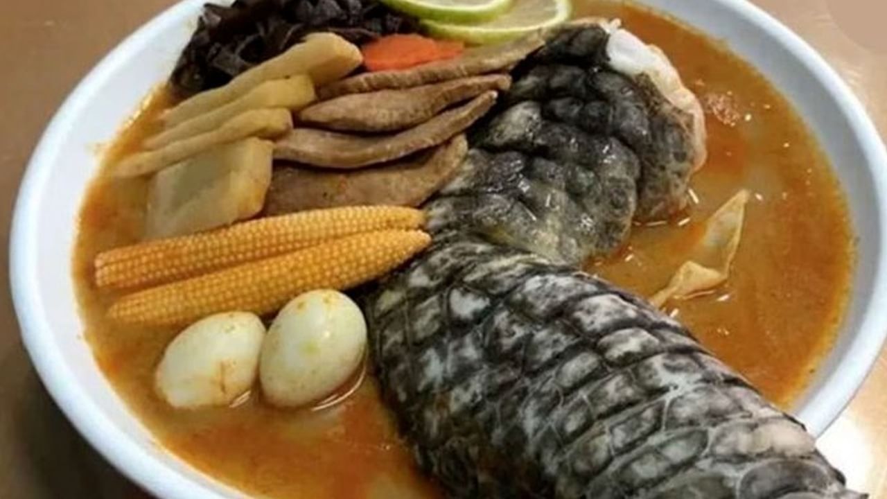 Godzilla Soup: এ কোন প্রাণীর স্যুপ?