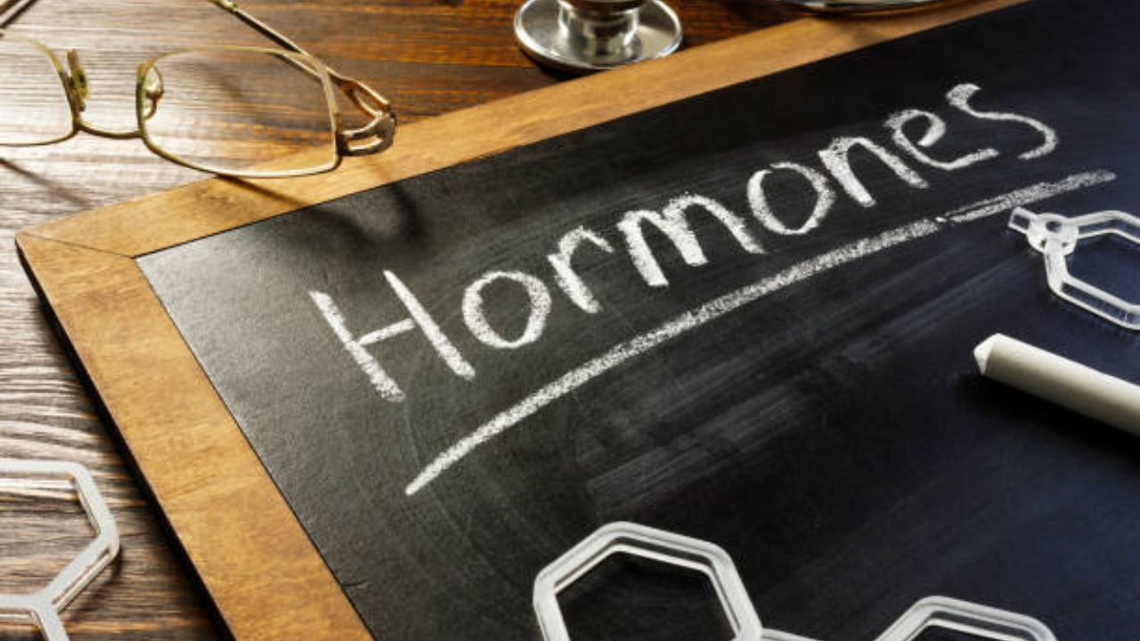 Foods For Happy Hormones:  রোজ নিয়ম করে এই সব খাবারেই বাড়বে হ্যাপি হরমোন, ধারেকাছে ঘেঁষবে না কোনও ডিপ্রেশন