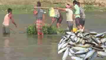 Electric Shock: ঝিলা মাছ ধরতে ইলেকট্রিক শক! বাস্তুতন্ত্রের ভারসাম্য নষ্টের আশঙ্কা পরিবেশপ্রেমীদের