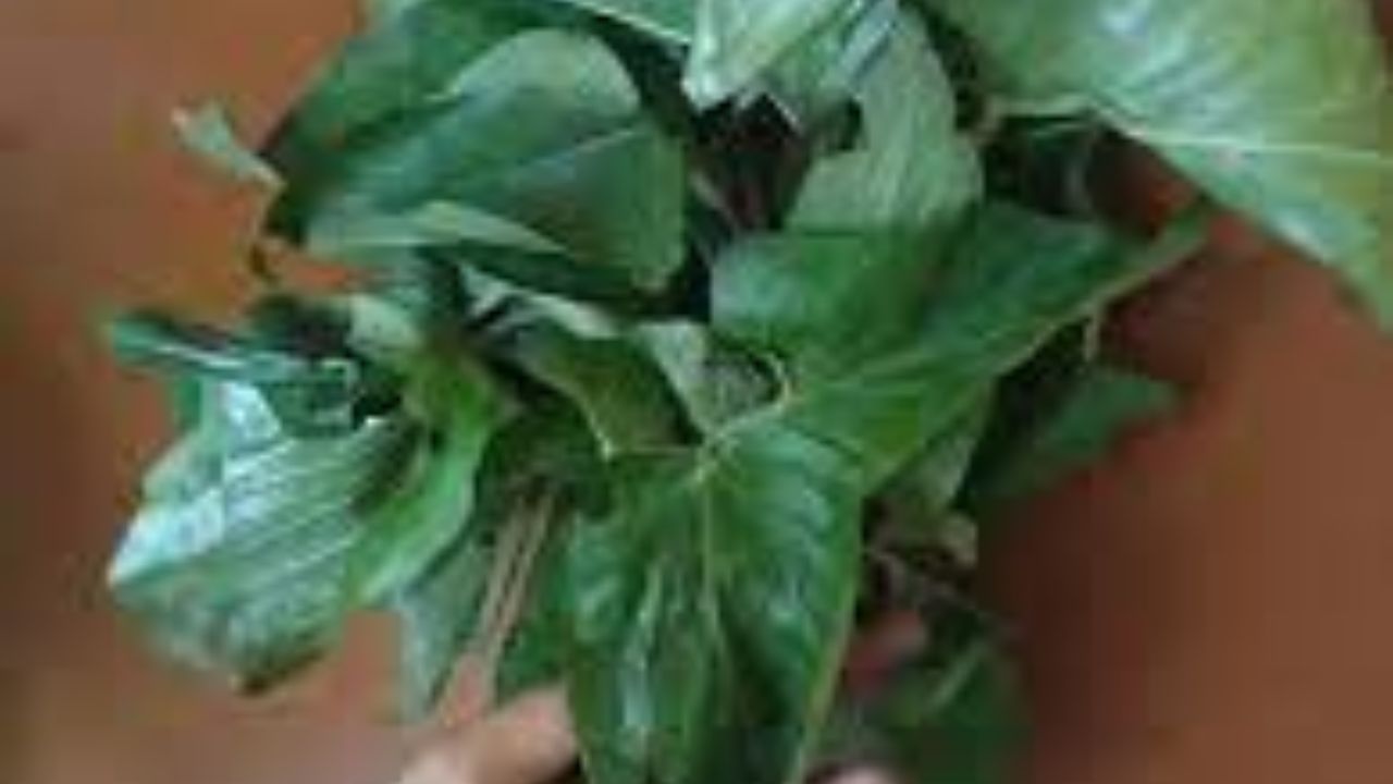 একটা পাত্রে এই রসুন শুকনো লঙ্কা তুলে রাখুন। অকি কড়াইতে খারকোল পাতা নিয়ে ১ চামচ পরিমাণ নুন দিয়ে কড়াইতে বসিয়ে ঢাকা দিয়ে রাখলেই জল বেরিয়ে আসবে। হাই ফ্লেমে রেখেই জল শুকিয়ে নিতে হবে। জল ভাল না শুকোলে গলা ধরতে পারে। 