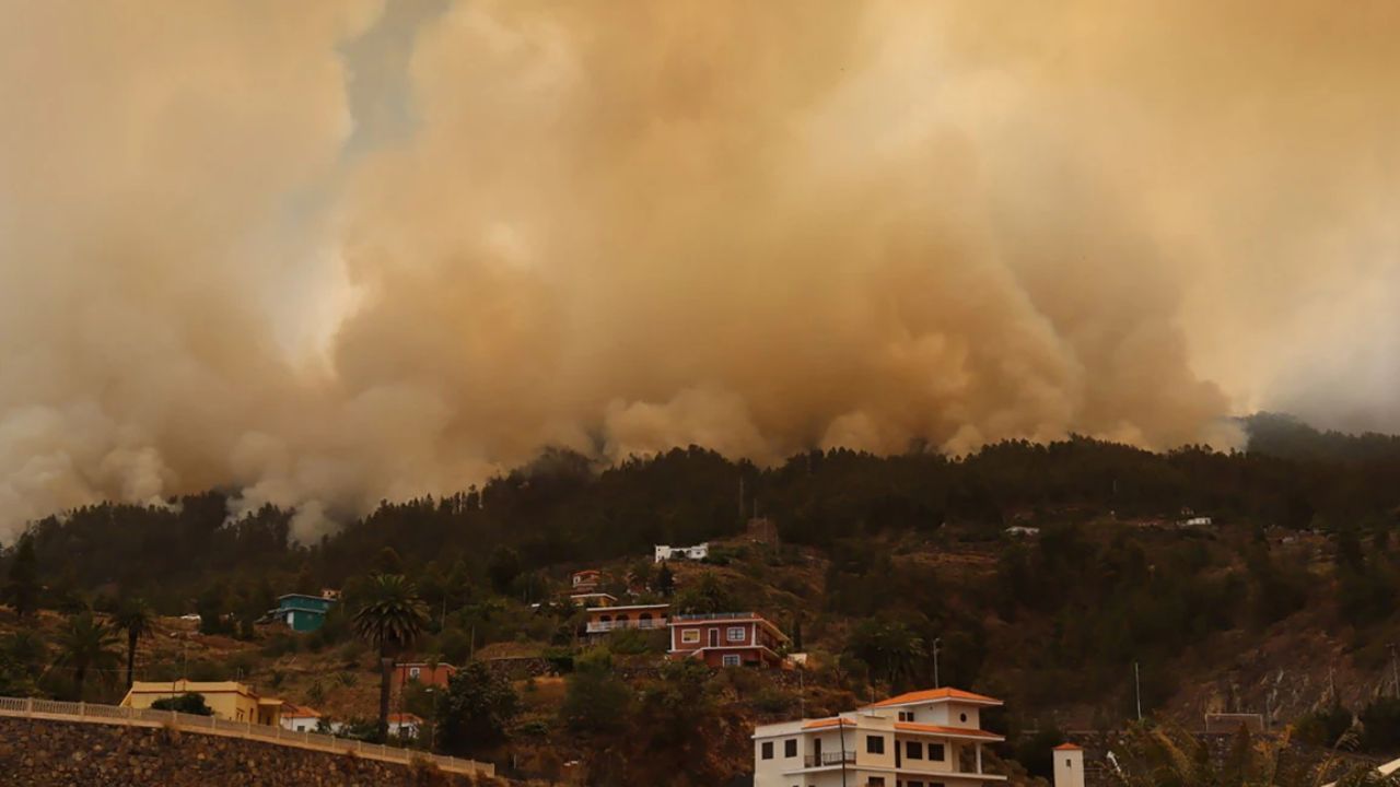 Wildfire: রক্তরঙা আকাশ, লেলিহান শিখায় জ্বলছে ১১ হাজার একর জমি, দাবানলে ছারখার লা পালামা