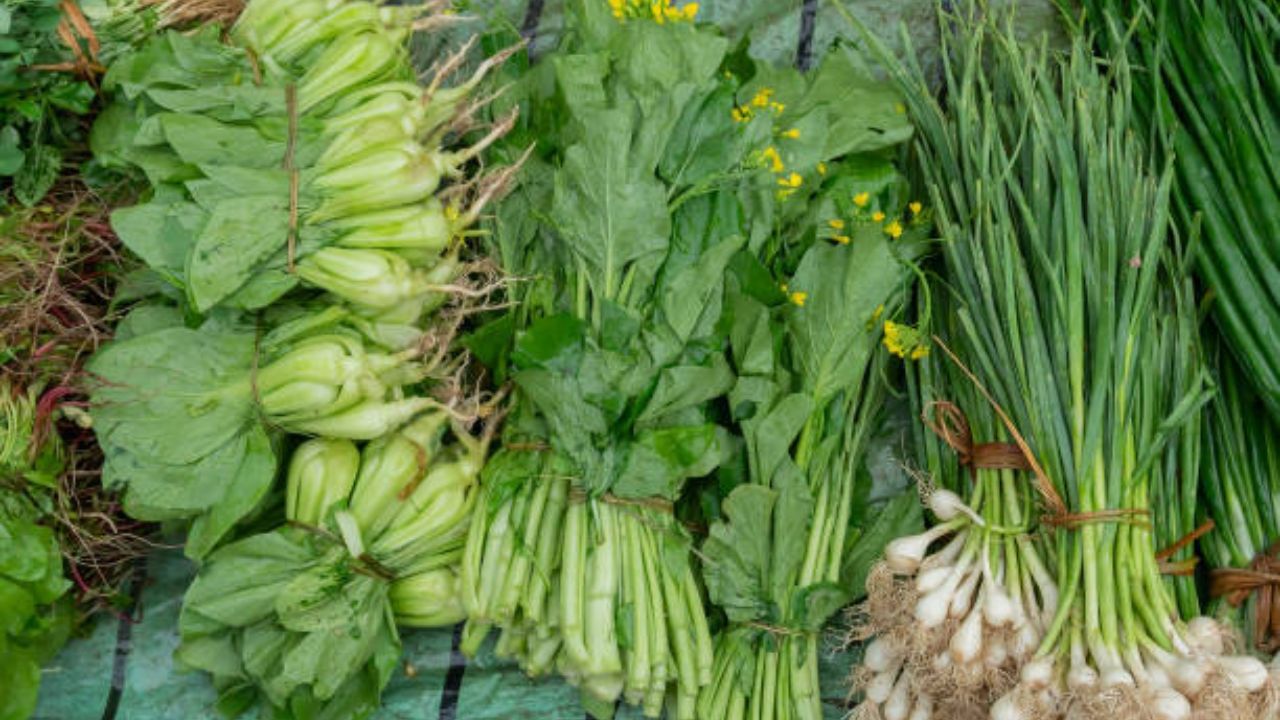 Leafy Vegetables বর্ষায় এভাবে শাকপাতা ধুয়ে নিয়ে রান্না করুন