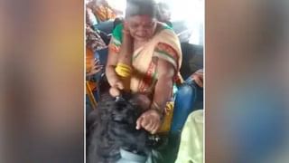 Viral Video: মেট্রোতে দরজা বন্ধ হতেই জনসমক্ষে রোম্যান্স যুগলের, লজ্জায় মুখ লাল অনেকের!