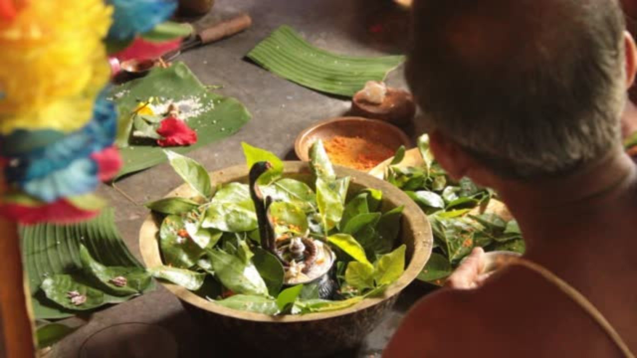 ১. শ্রাবণ মাসে ভুলেও মদ ও মাংস বা অ্যালকোহল জাতীয় পানীয় খাবেন না। এই সময় এই দুটি জিনিস সেবন করলে শিবপুজোর ফল লাভ করবেন না। এছাড়া এই সময় রসুন, পেঁয়াজ, বেগুন খাওয়া থেকে বিরত থাকুন। 