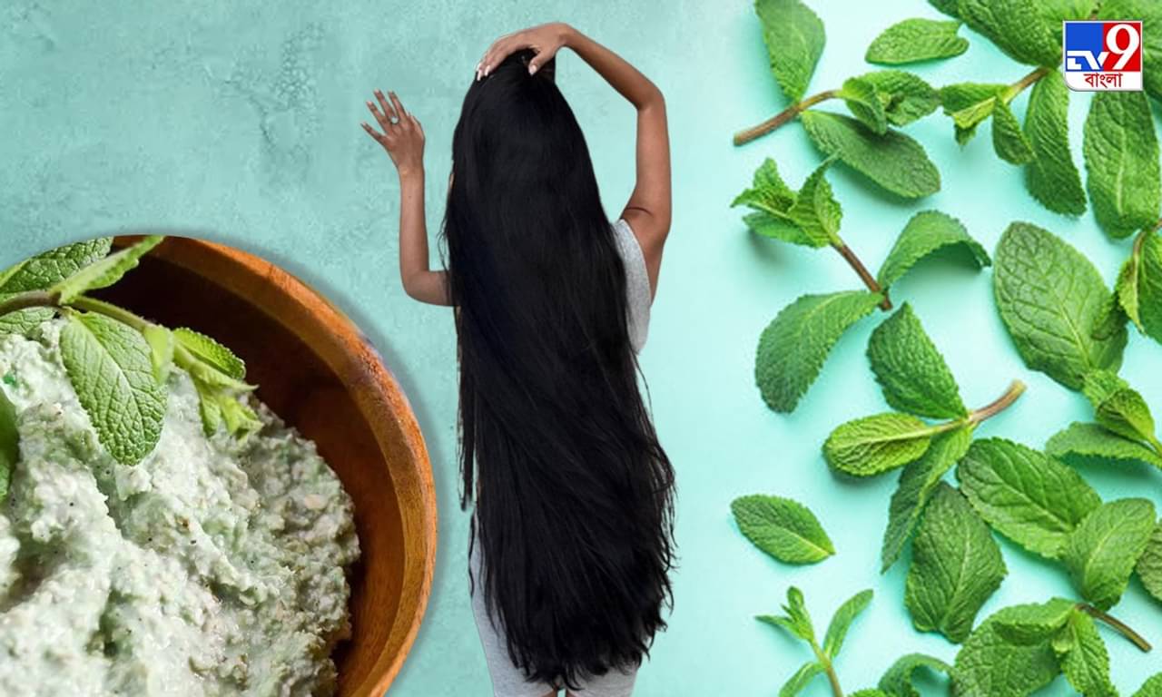 Mint For Hair: পুদিনার গুণেই পিঠ ছাড়াবে চুল, হবে মজবুতও, জানুন ব্যবহার