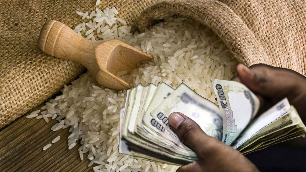 Rice Price Hike: ভারতে চাল আরও দামি হবে?