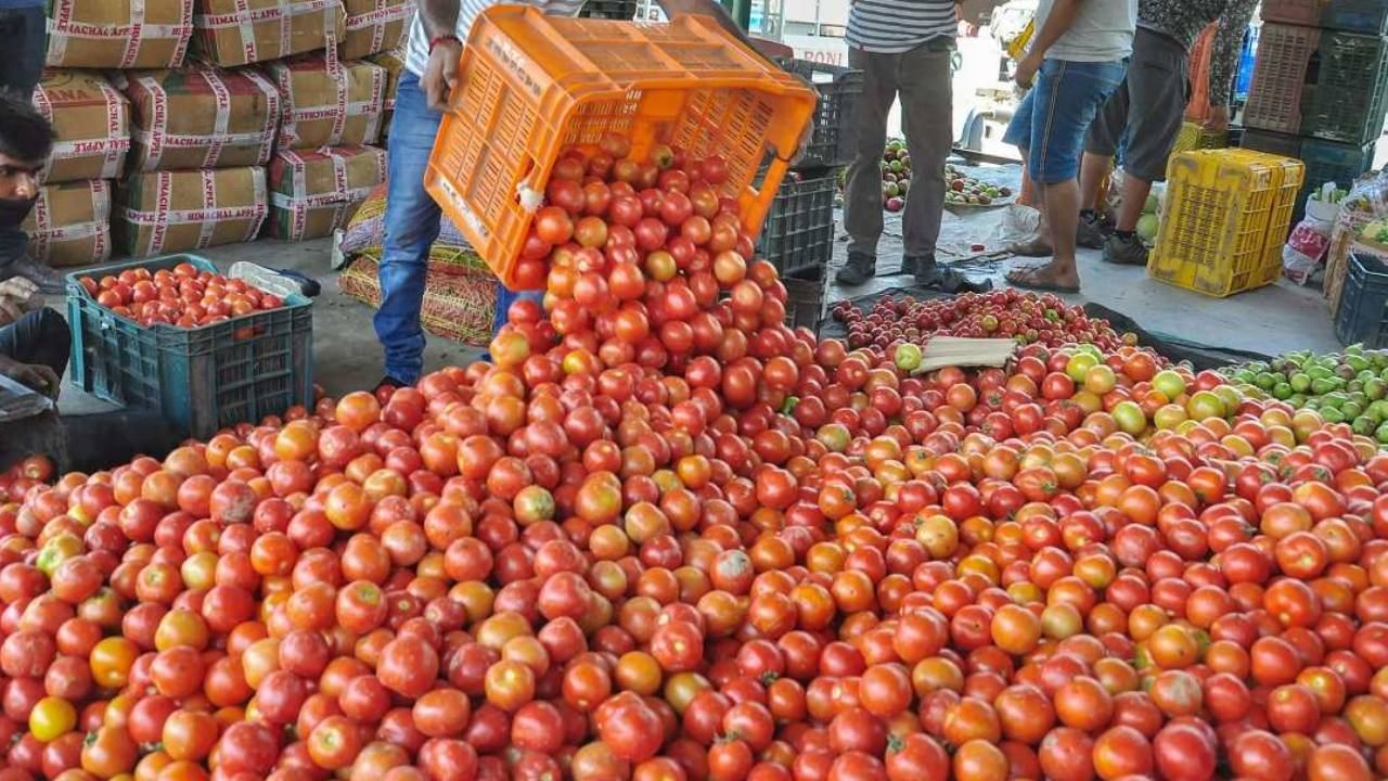 Tomato Price: চলতি সপ্তাহেই কমবে টম্যাটোর দাম, মূল্যবৃদ্ধি নিয়ন্ত্রণে কেন্দ্রের বড় পদক্ষেপের ঘোষণা সীতারমণের