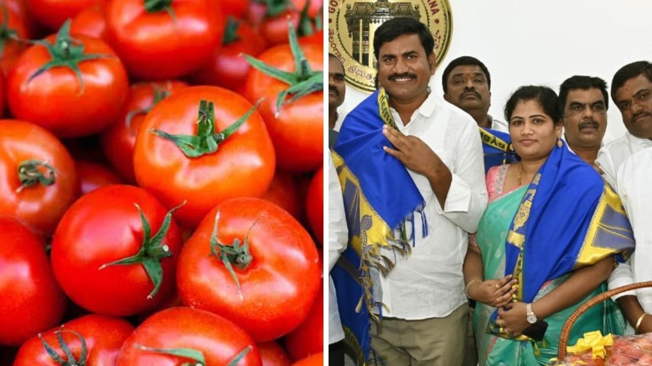 Tomato Seller Crorepati: টমেটো বিক্রি করে কয়েক মাসেই কোটিপতি, কৃষককে অভিনন্দন জানালেন খোদ মুখ্যমন্ত্রী