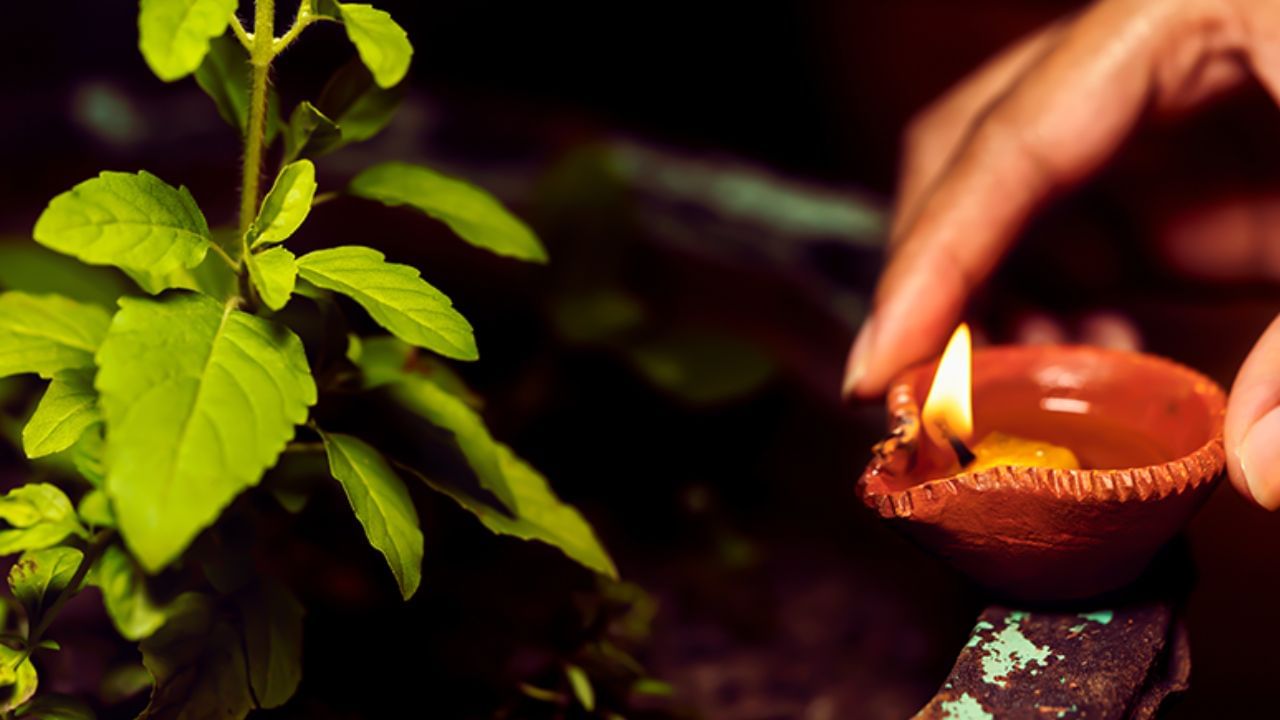 এমন প্রতিকার মেনে চললে সম্পদের অভাব দূর হবে দ্রুততার সঙ্গে। ফলাফল পাবেন হাতেনাতে। মাত্র তিন বছরের মধ্যেই ফিরে পাবেন নিজের প্রাপ্য অর্থ ও সম্পদ। লক্ষ্মীর কৃপায় সবসময় আশীর্বাদ বর্ষণ হবে।