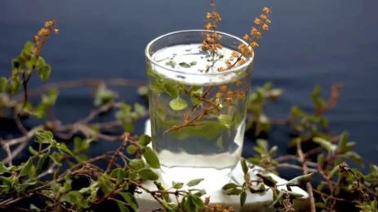 হিন্দুধর্ম অনুসারে, তুলসী গাছে ধনলক্ষ্মীর বাস। তাই প্রতিটি হিন্দুদের গৃহেই তুলসী গাছ স্থাপন করা হয়। আর্থক সমস্যায় তুলসীর প্রতিকার মেনে চললে সবচেয়ে লাভবান হতে পারেন আপনিই।