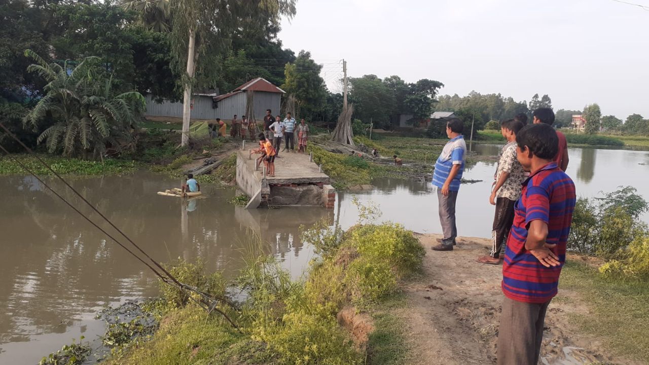 Bridge Collapsed: পঞ্চায়েত ভোটের আগে বানানো হয়েছিল সেতু, ভেঙে পড়ল দু'মাসেই