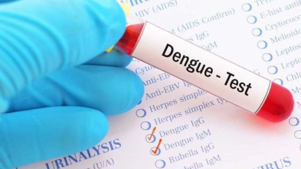 Dengue: বাড়ছে সংক্রমণ, ডেঙ্গি নিয়ে 'রাজনীতি' তুঙ্গে