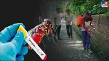 Dengue Death: শহরতলিতে ফের ডেঙ্গিতে মৃত্যু, পুরসভা বলছে সচেতনতার অভাব