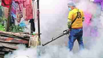 Dengue in West Bengal: আক্রান্তের সংখ্যায় শীর্ষে উত্তর ২৪ পরগনা, গোটা রাজ্যে প্রতি সপ্তাহে দেড় হাজারের মানুষ ডেঙ্গির কবলে