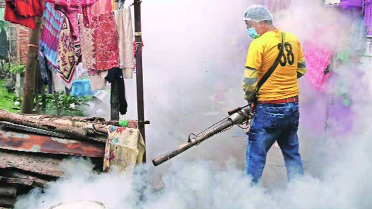 Dengue in West Bengal: আক্রান্তের সংখ্যায় শীর্ষে উত্তর ২৪ পরগনা, গোটা রাজ্যে প্রতি সপ্তাহে দেড় হাজারের মানুষ ডেঙ্গির কবলে