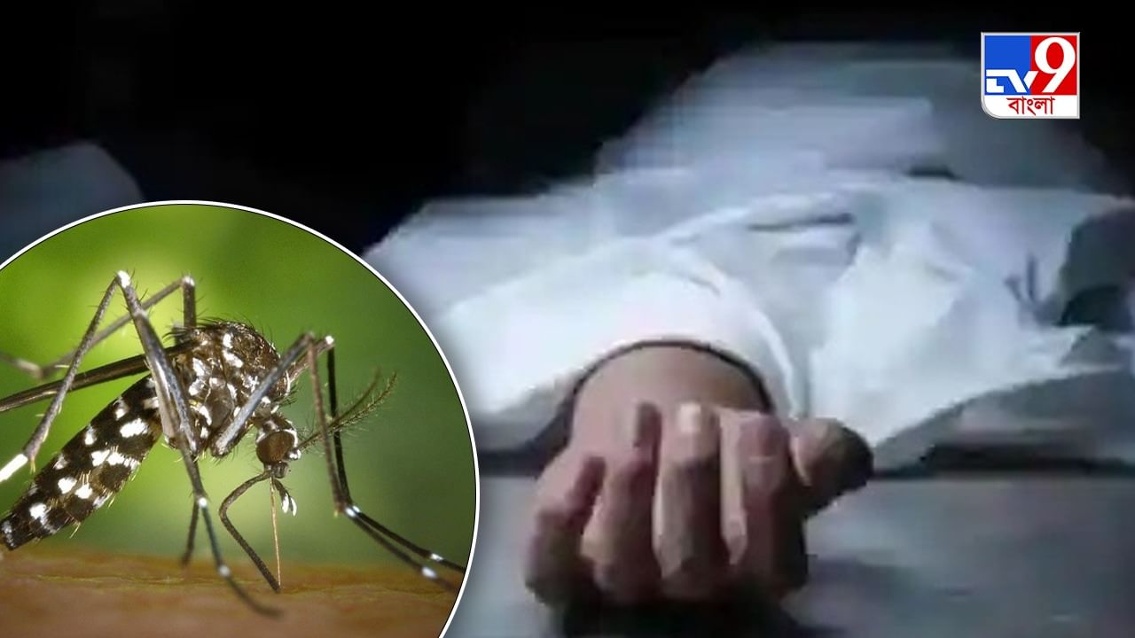 Dengue: ডেঙ্গি আক্রান্ত হয়ে মৃত্যু বিজেপি জেলা সভাপতির মায়ের, অভিযোগের কাঠগড়ায় আসানসোল পুরসভা