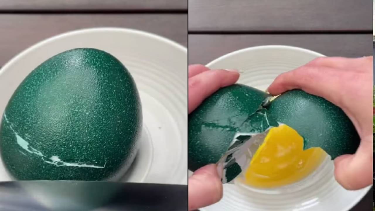 Viral Video: এক কেজি ওজনের ইয়াব্বড় ডিম, কষ্ট করে ভাঙতে পারলেই গোটা পরিবারের ডিনার