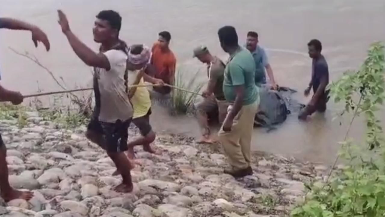 Elephant Poaching: মুণ্ড-পাহীন সেই হাতি আদতে কোন রাজ্যের 'রেসিডেন্ট'? দায় নিতে 'অস্বীকার' বাংলা-অসমের