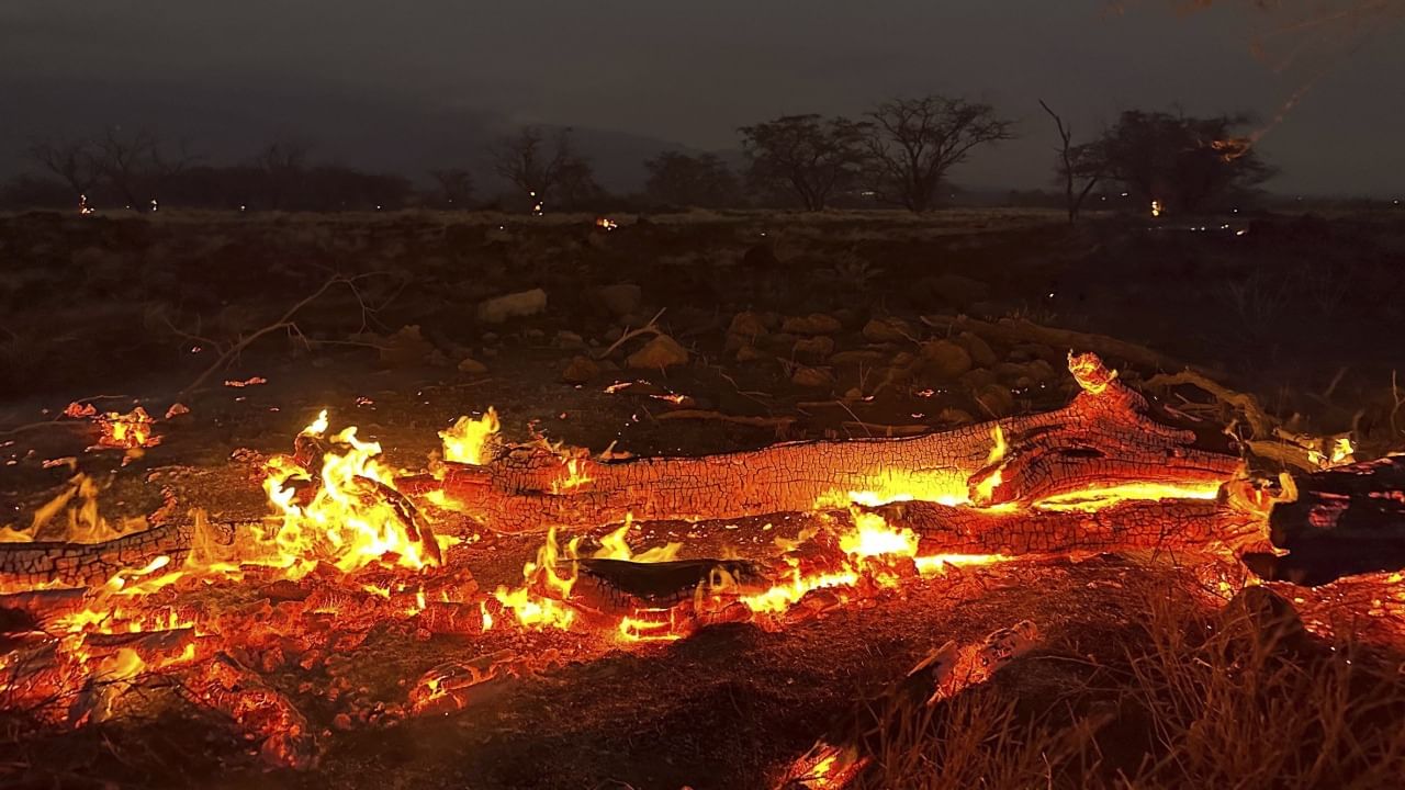 Hawaii wildfires: দাবানল থেকে বাঁচতে সমুদ্রে ঝাঁপ, পুড়ে ছাই আস্ত দ্বীপ, মৃত ৫৩