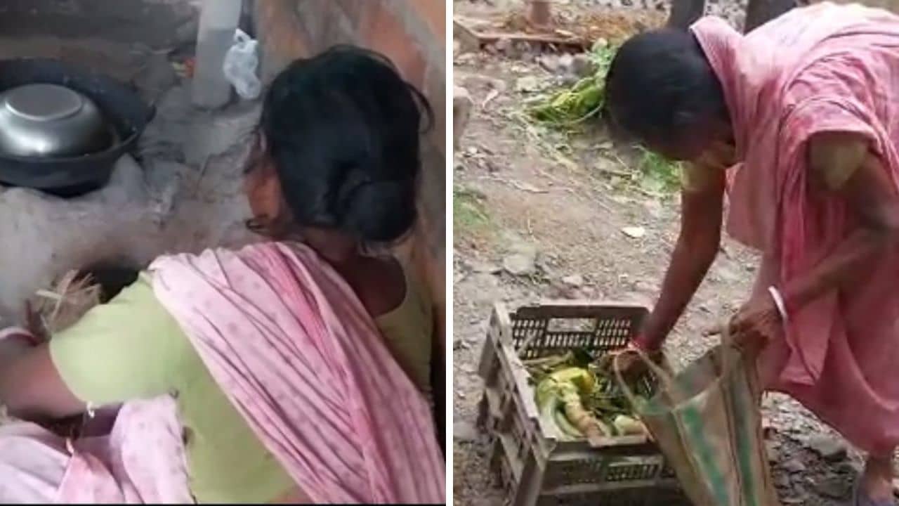 Kalna Woman: ফেলে দেওয়া সবজি তুলেই দিন গুজরান, তিনজনের পেট চালান কালনার দেবী