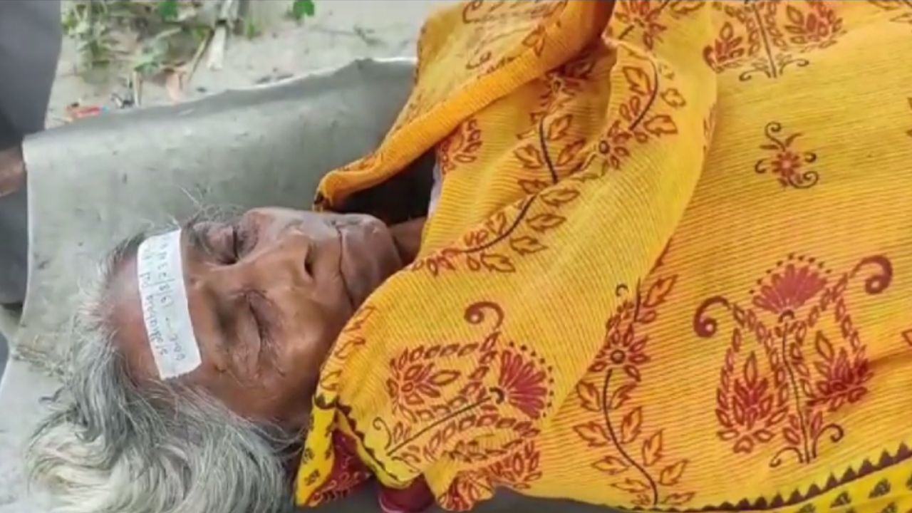 Kalna Oldwoman Death: চাকে বাঁশের কঞ্চি ঠেকতেই ছেঁকে ধরল বৃদ্ধাকে, ভিমরুলের আক্রমণে মৃত্যু বৃদ্ধার