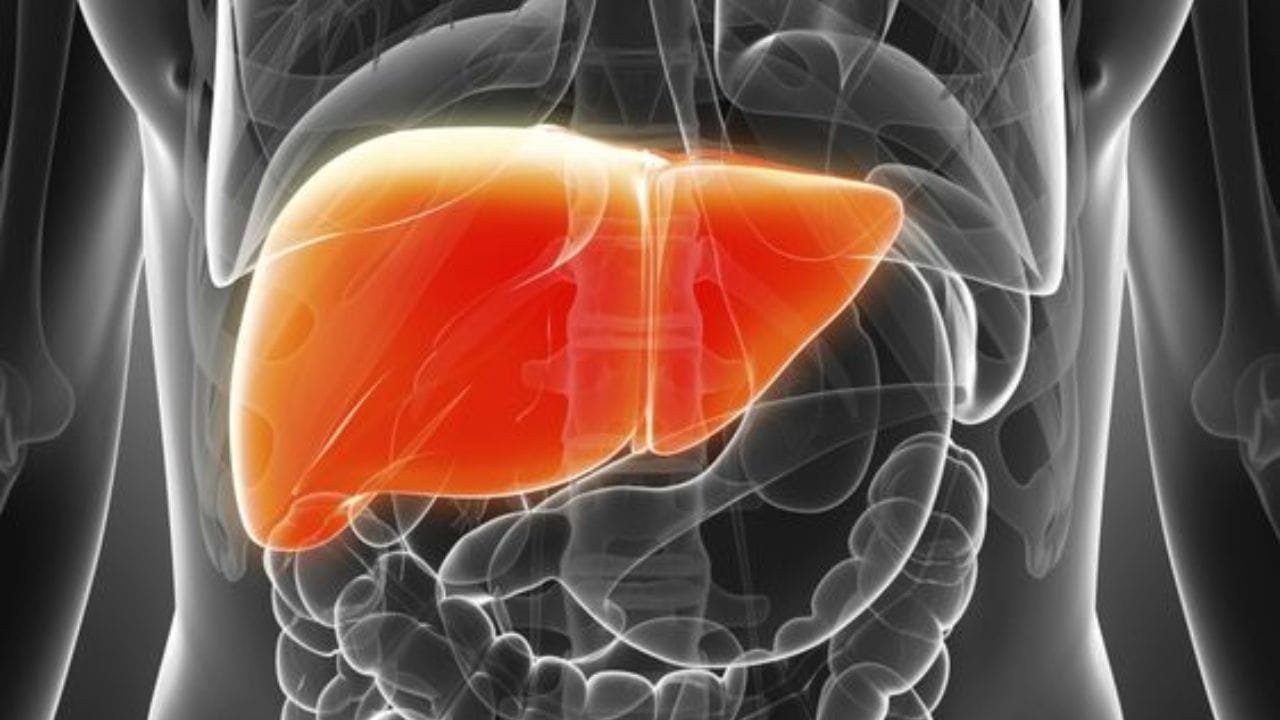 রসুনও লিভারের জন্য খুবই উপকারী। এতে সালফার যৌগ রয়েছে, যা লিভারের এনজাইমকে সক্রিয় করে। এর ফলে লিভার থেকে টক্সিন সহজেই বের হয়ে যায় এবং সুস্থ থাকে লিভার ও শরীর।