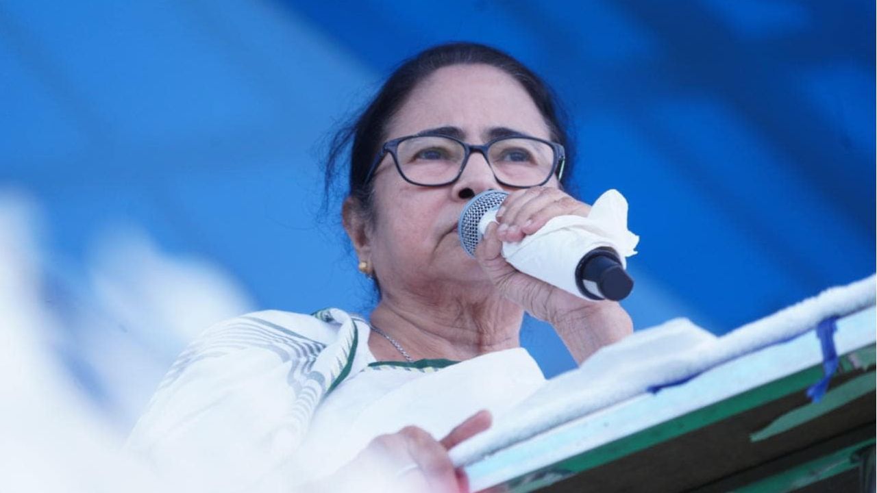 Mamata Banerjee on oppositions: মমতার মুখে ফের 'জগাই-মাধাই-গদাই' তত্ত্ব, সঙ্গে 'আর একটা...'