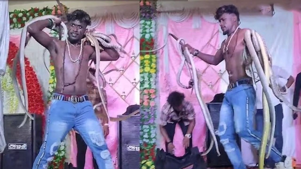 Viral Video: মঞ্চে উঠে ব্যাগ থেকে ডজন খানেক সাপ বের করে খেল দেখালেন ইনি, বোকামি বলছেন নেটিজ়েনরা