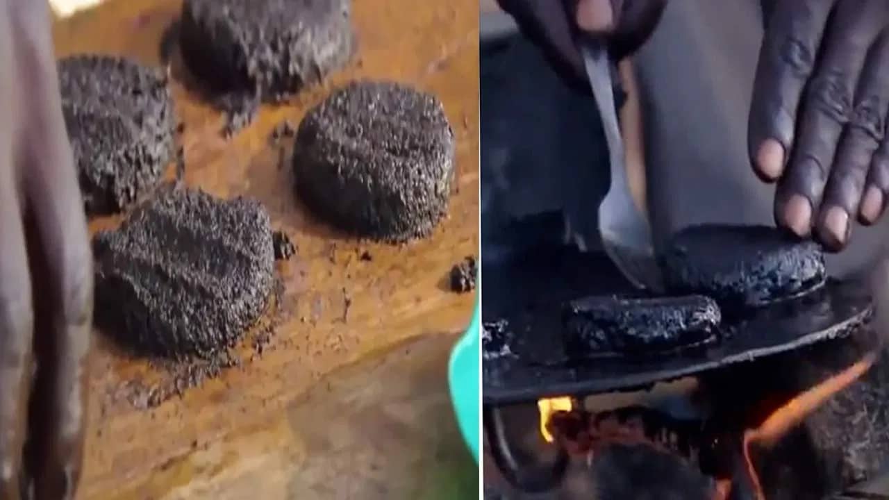 Viral Video: মশা দিয়ে তৈরি হয় বার্গারের এই কালো কুচকুচে টিক্কি, প্রোটিনে ভরপুর বিরল খাবারের ভিডিয়ো ভাইরাল