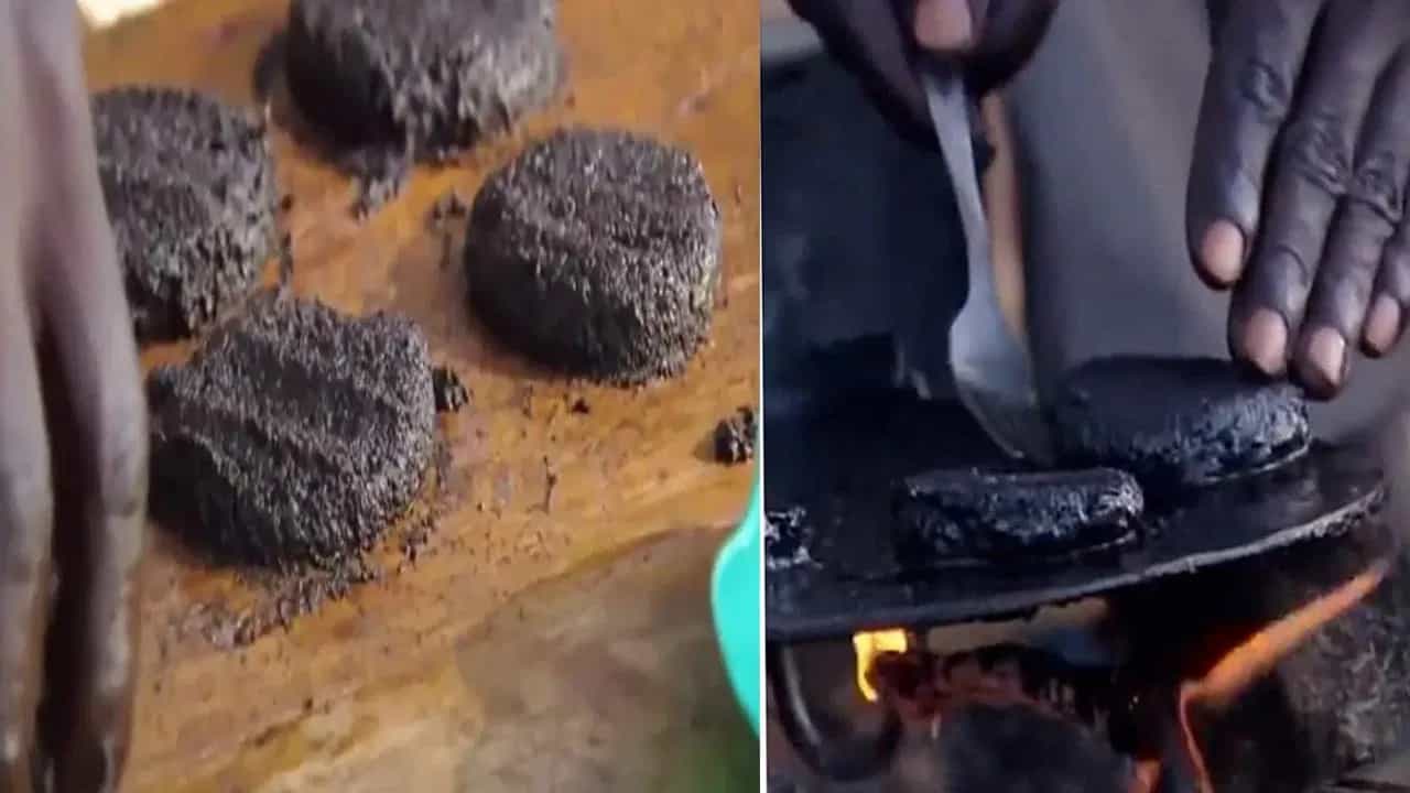 Viral Video: মশা দিয়ে তৈরি হয় বার্গারের এই কালো কুচকুচে টিক্কি, প্রোটিনে ভরপুর বিরল খাবারের ভিডিয়ো ভাইরাল Viral Video: মশা দিয়ে তৈরি হয় বার্গারের এই কালো কুচকুচে টিক্কি, প্রোটিনে ভরপুর বিরল খাবারের ভিডিয়ো ভাইরাল