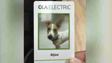 Ola Electric: গলায় আইডি কার্ড ঝুলিয়ে অফিসে সারমেয়! ওলার নতুন কর্মচারী বিজলি