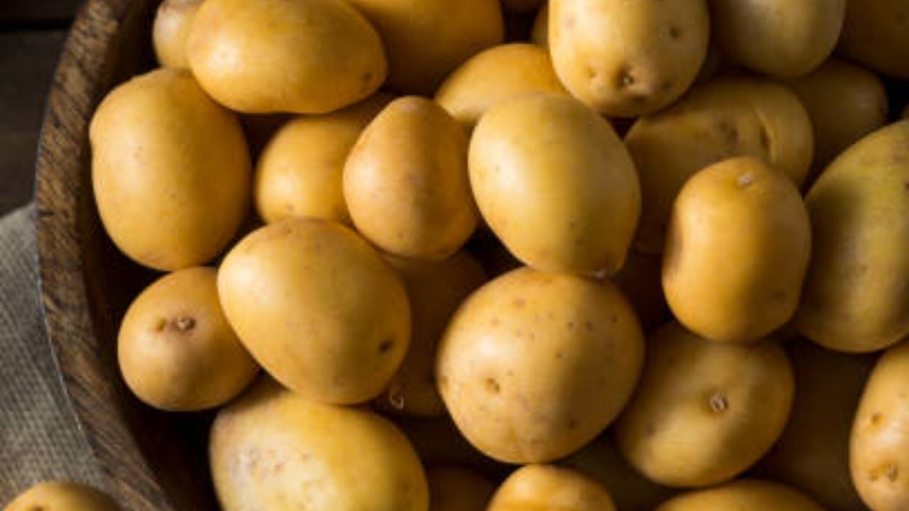 সব ভাল করে মিশে ফুটে উঠলে ওর মধ্যে তিনটে কাঁচালঙ্কা দিয়ে দিতে হবে। সব ভাল করে সেদ্ধ হয়ে এলে ভেজে রাখা মশলা আর এক চামচ চিনি মিশিয়ে দিন। 