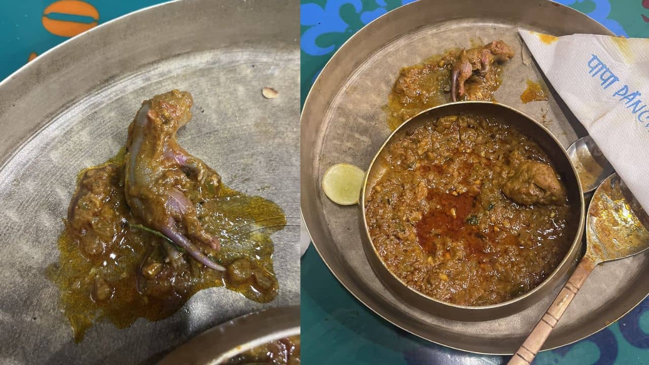 Mumbai Restaurant: রেস্তরাঁয় অর্ডার দিয়েছিলেন চিকেন কারি, কামড় দিয়েই চমকে উঠলেন...