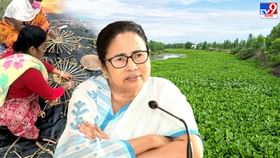 Mamata Banerjee: বিকল্প কর্মসংস্থানের দিশা দেখিয়েছিলেন মমতা, এবার রাজ্যে তৈরি হচ্ছে কচুরিপানা শিল্পকেন্দ্র Mamata Banerjee: বিকল্প কর্মসংস্থানের দিশা দেখিয়েছিলেন মমতা, এবার রাজ্যে তৈরি হচ্ছে কচুরিপানা শিল্পকেন্দ্র