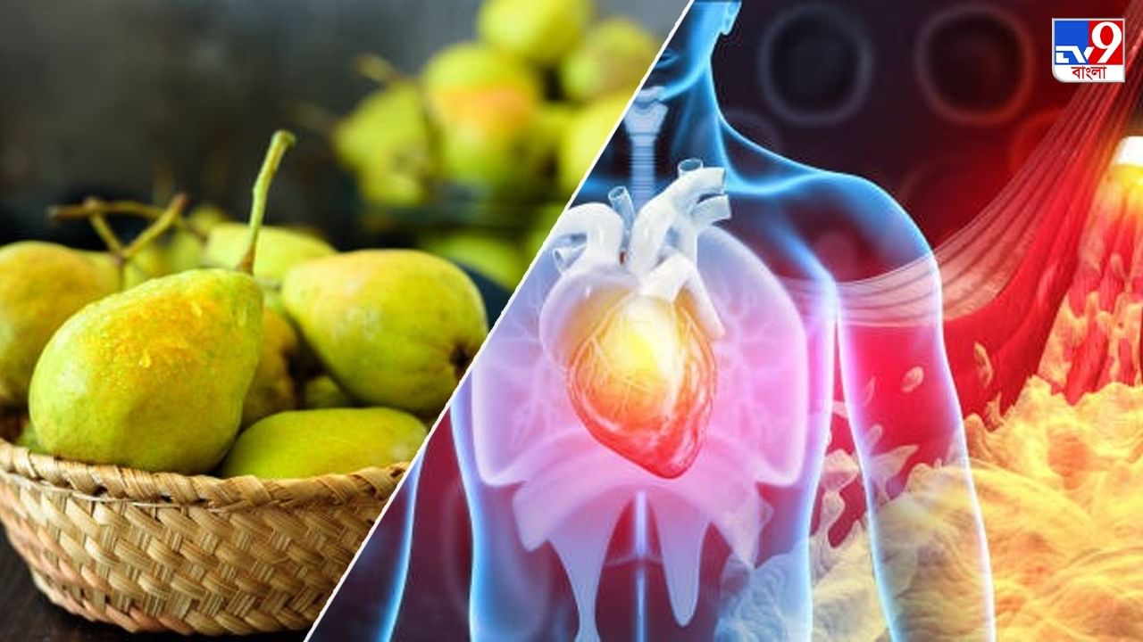Pears বর্ষার এই ফল রোজ একটা করে খেলে কোলেস্টেরল হোক বা সংক্রমণ