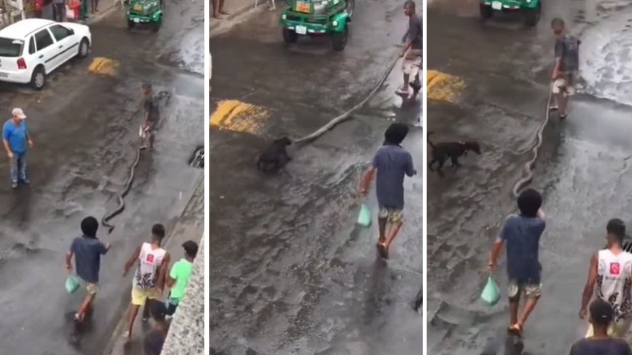 Viral Video: রাস্তায় প্রকাণ্ড অজগর সাপকে টেনে নিয়ে যাচ্ছিল যুবক, এক কুকুর কী কাণ্ড ঘটাল দেখুন