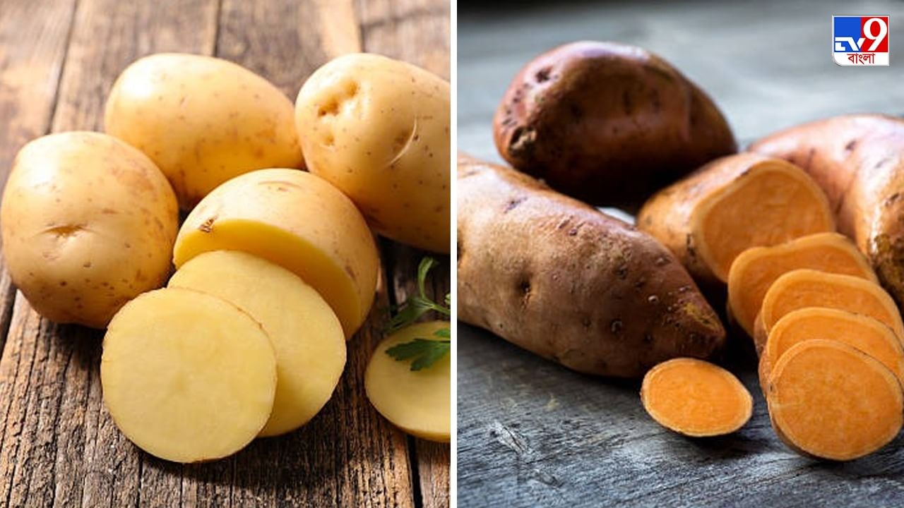 Potato vs Sweet Potato আলু নাকি মিষ্টি আলু, কাকে আপন করলে বাড়বে আয়ু
