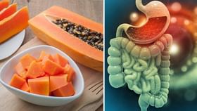 Papaya Benefits: রোজ একবাটি পাকা পেঁপে খেলে পাকস্থলী থাকবে তরতাজা, ভিটামিন সি-এর চাহিদাও ২০০ শতাংশ পূরণ হবে Papaya Benefits: রোজ একবাটি পাকা পেঁপে খেলে পাকস্থলী থাকবে তরতাজা, ভিটামিন সি-এর চাহিদাও ২০০ শতাংশ পূরণ হবে