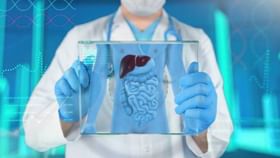 Stomach Health News: বিষমুক্ত শরীর কীভাবে? Stomach Health News: বিষমুক্ত শরীর কীভাবে?