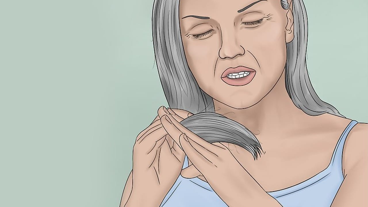 Gray Hair Care পাকা চুল কালো, এই ভেষজে Bengali News Tips Of Gray