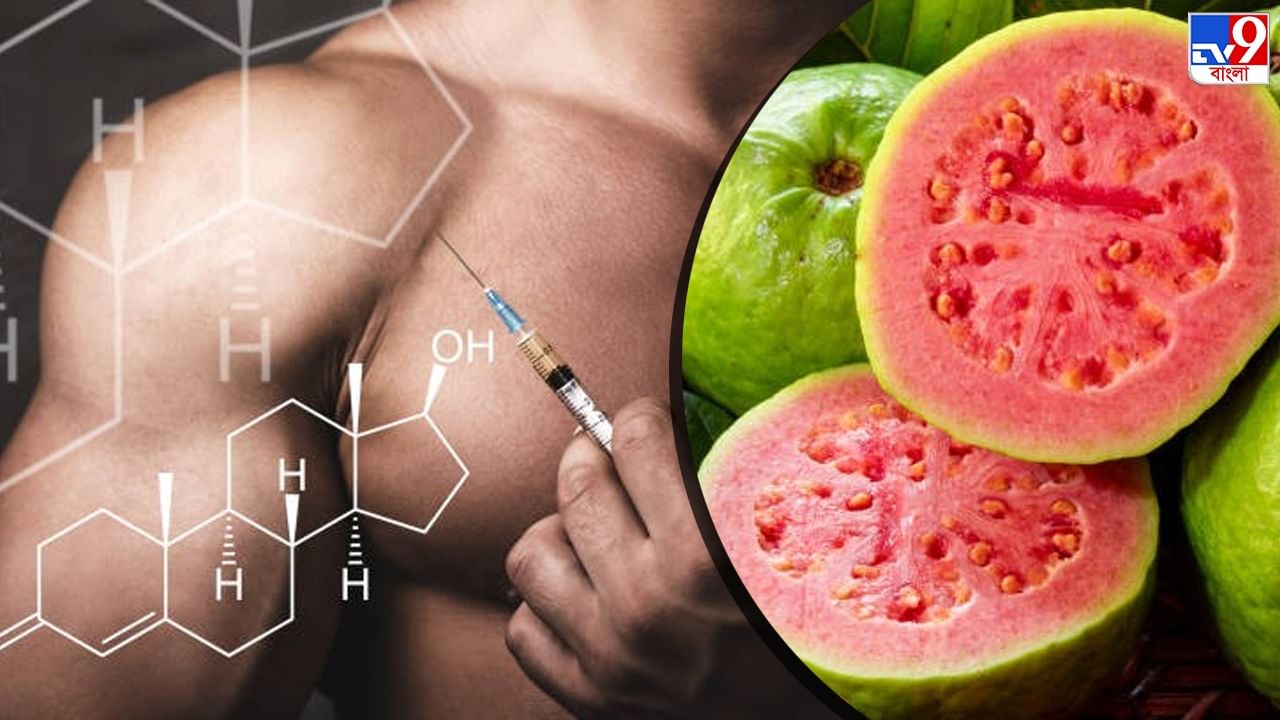 High Protein Fruits For Muscle Building: বিশ্বের একমাত্র এই ফল হল প্রোটিনের রাজা, রোজ খেলে পেশীর গঠন সুঠাম হবেই High Protein Fruits For Muscle Building: বিশ্বের একমাত্র এই ফল হল প্রোটিনের রাজা, রোজ খেলে পেশীর গঠন সুঠাম হবেই