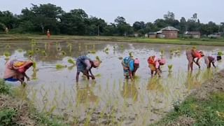 Birbhum News: চারদিন ধরে বিদ্যুৎ বিহীন এলাকা