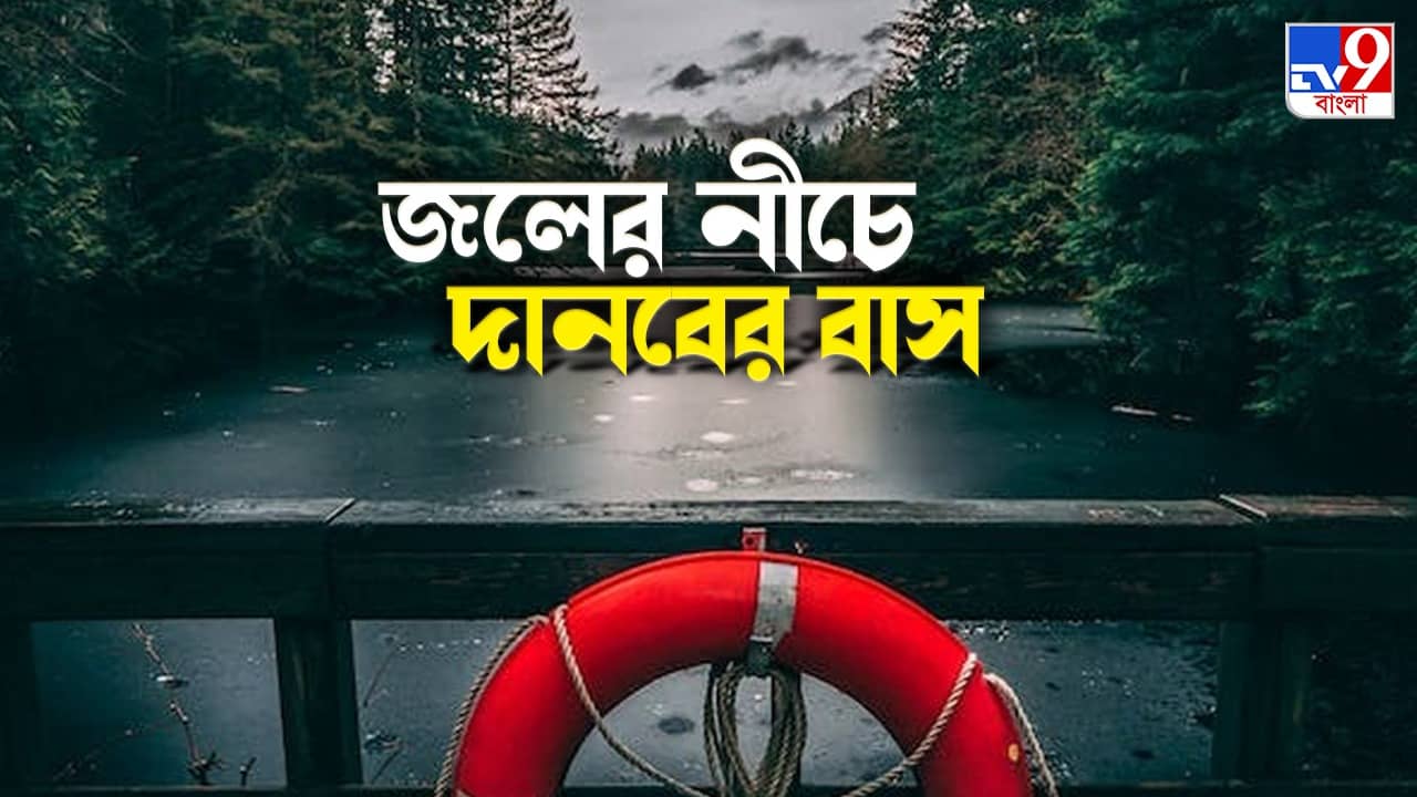 Loch Ness Monster: হ্রদের গভীরে লুকিয়ে দৈত্য! ড্রোন-ক্যামেরা নিয়ে খুঁজতে নামছেন বিজ্ঞানীরা