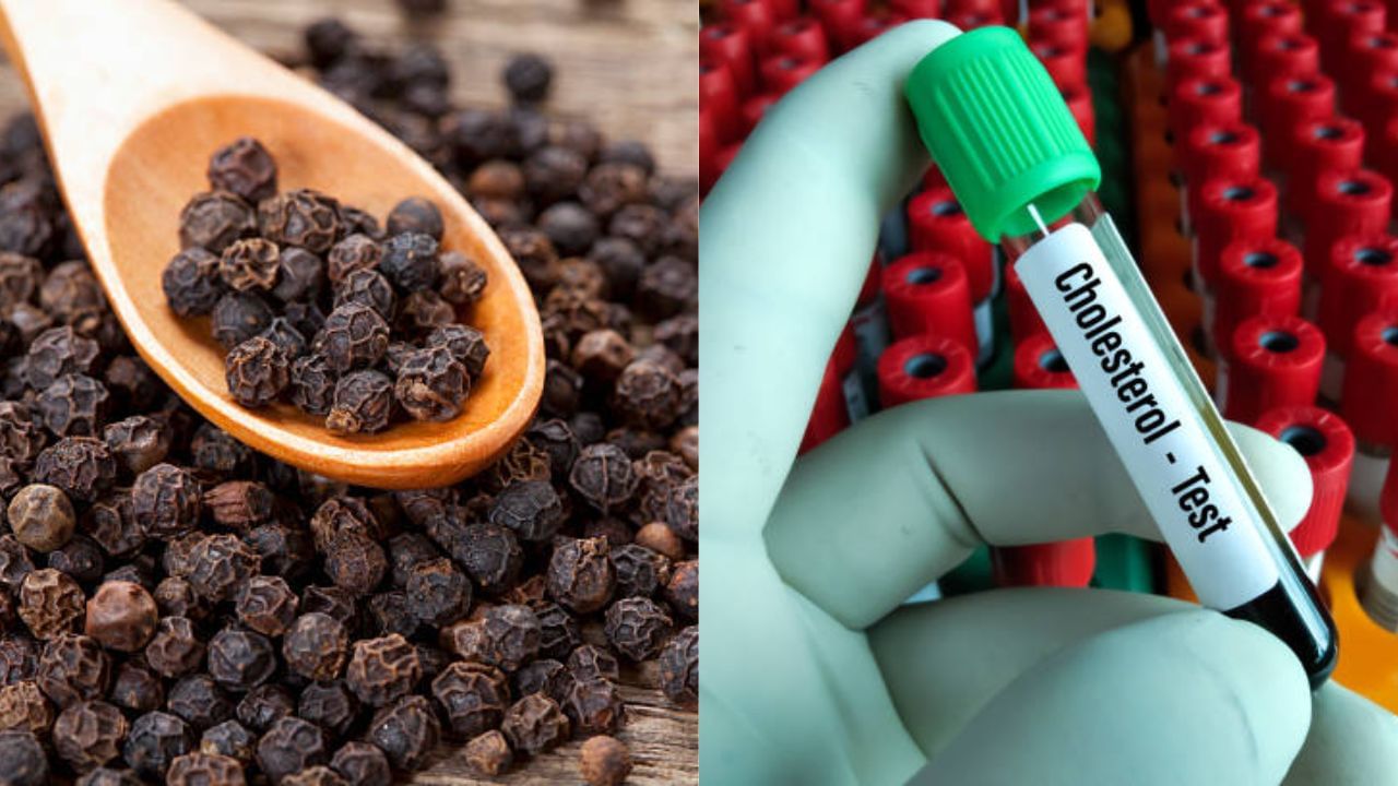 Bad Cholesterol রক্তে জমছে কোলেস্টেরল? রোজ এই মশলা খেলেই বশে থাকবে লিপিড প্রোফাইল Bengali