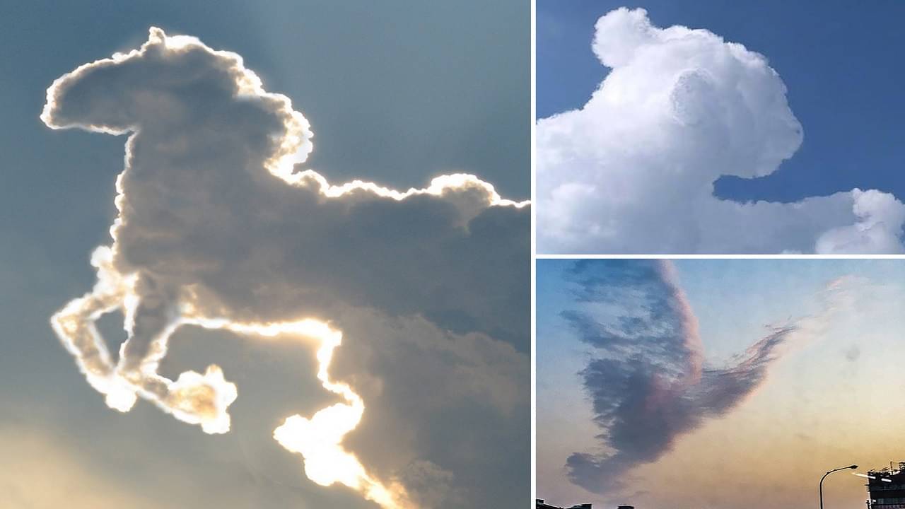 Cloud Shape: কোনও মেঘ চাদরের মতো, কোনও মেঘ যেন সমুদ্রের ঢেউ; কোন জাদুতে এমন হয় জানেন?